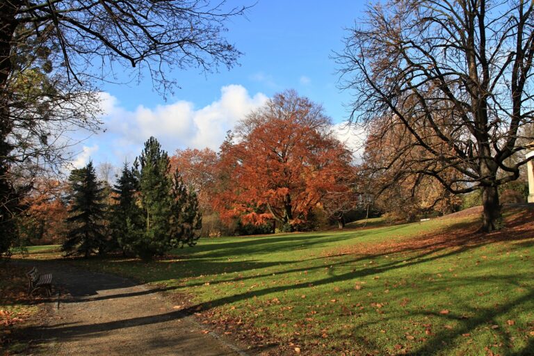 Zámecký park Lešná u Valašského Meziříčí na podzim