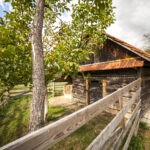 susirny_Vlachovice_foto_Jan_Zainer