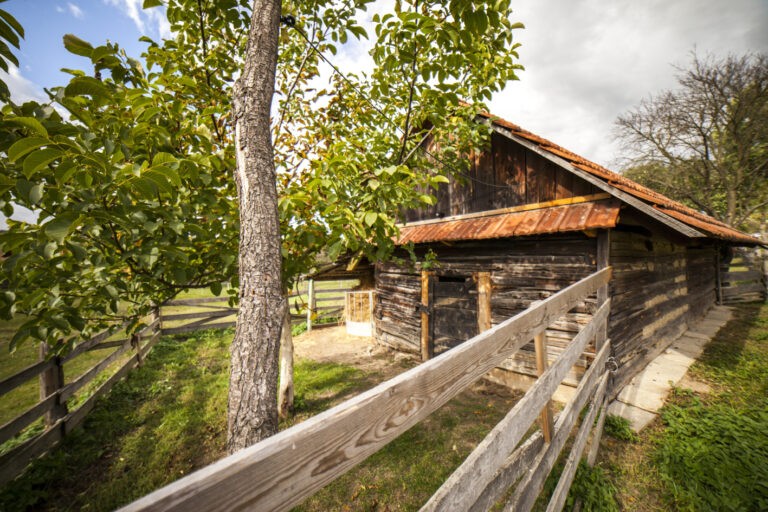 susirny_Vlachovice_foto_Jan_Zainer