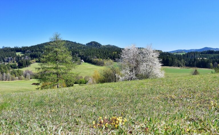 Lačnov-krajina-UR_Foto Z. Urbanovský.