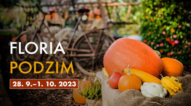 podzim floria