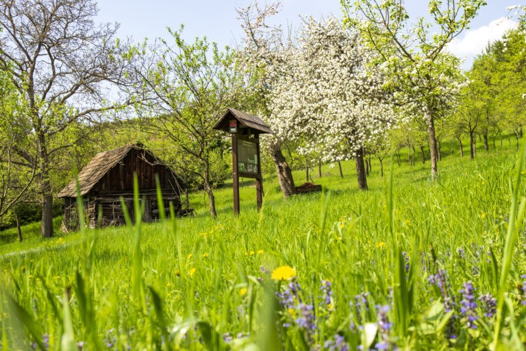 Vlachovice_naucna_stezka_foto_Josef_Belaska