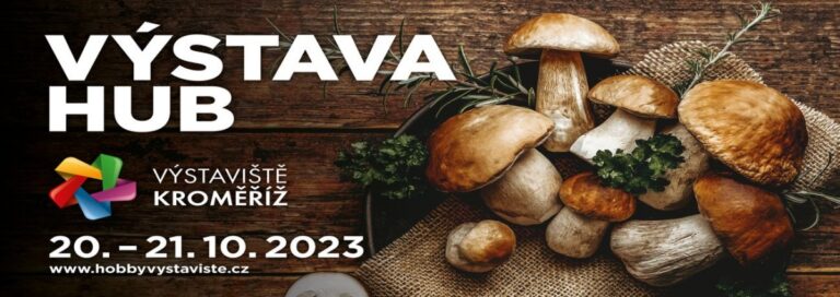 Výstava hub