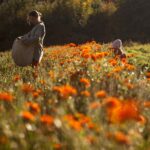 Vlachovice_bylinna_farma_foto_Jan_Zainer_IMG_1896-ret
