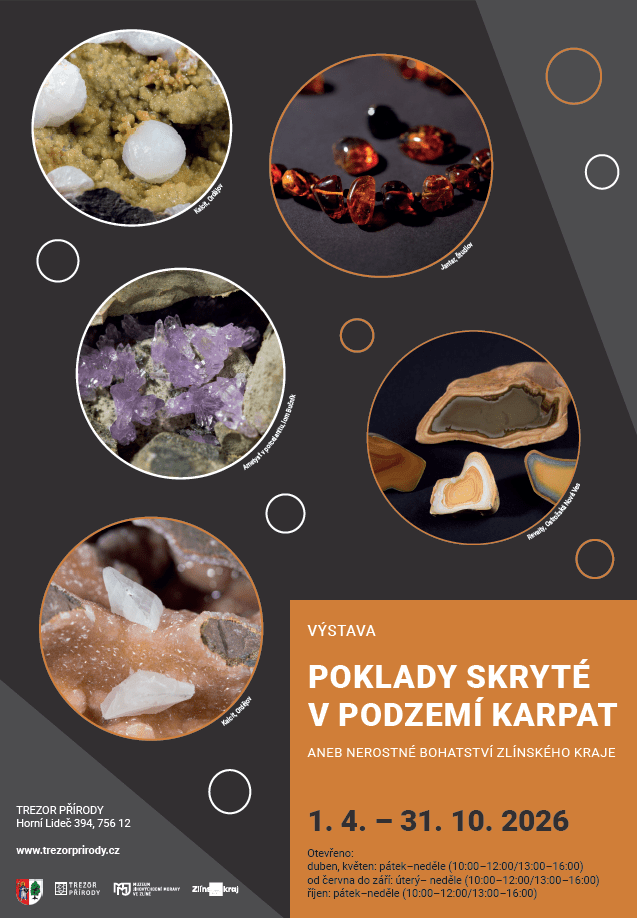 Snmek_obrazovky_20260313_085240