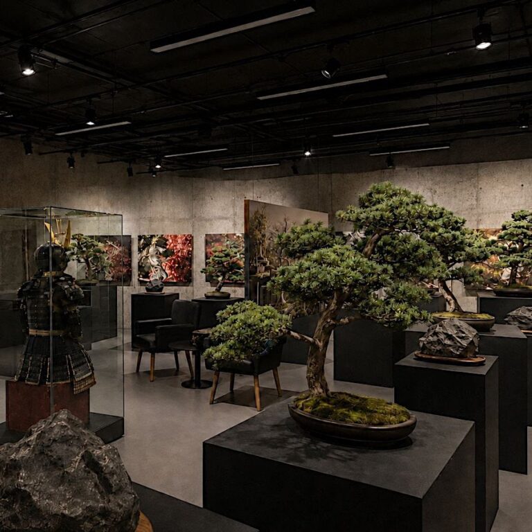 bonsai-vystava-3cc23fb311e2840