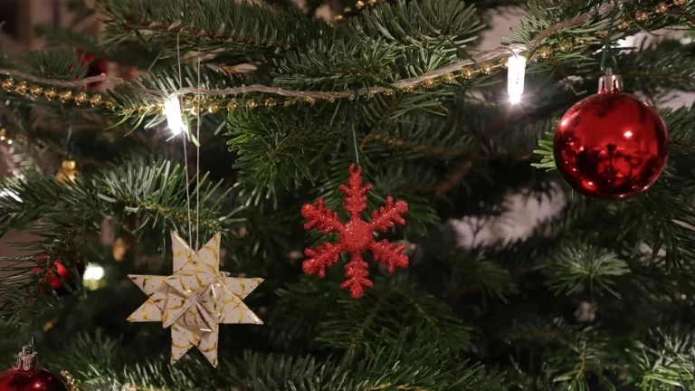 exposuretoday-christmas-tree-4697598