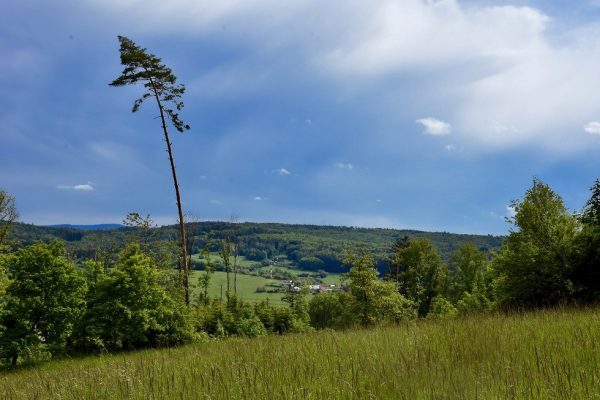 Cesta k Jezírku-lásky-UR foto Z. Urbanovský