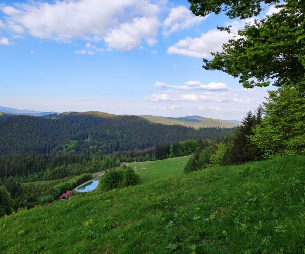 Soláň