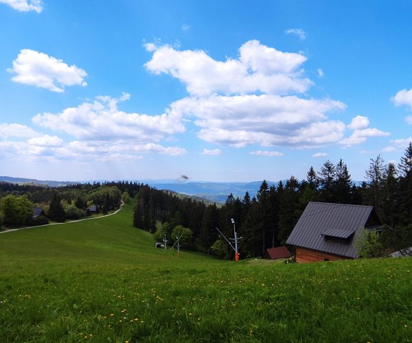 Kohútka