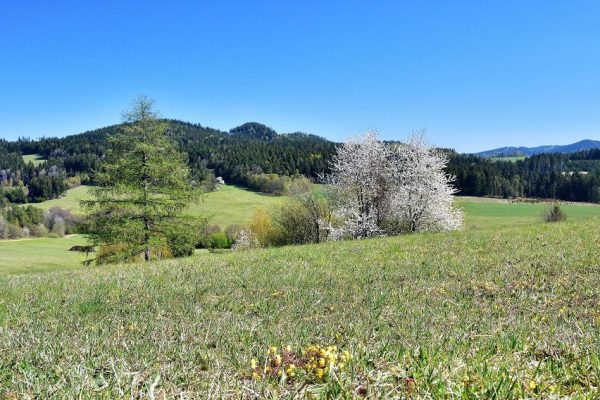 Lačnov-krajina-UR_Foto Z. Urbanovský.