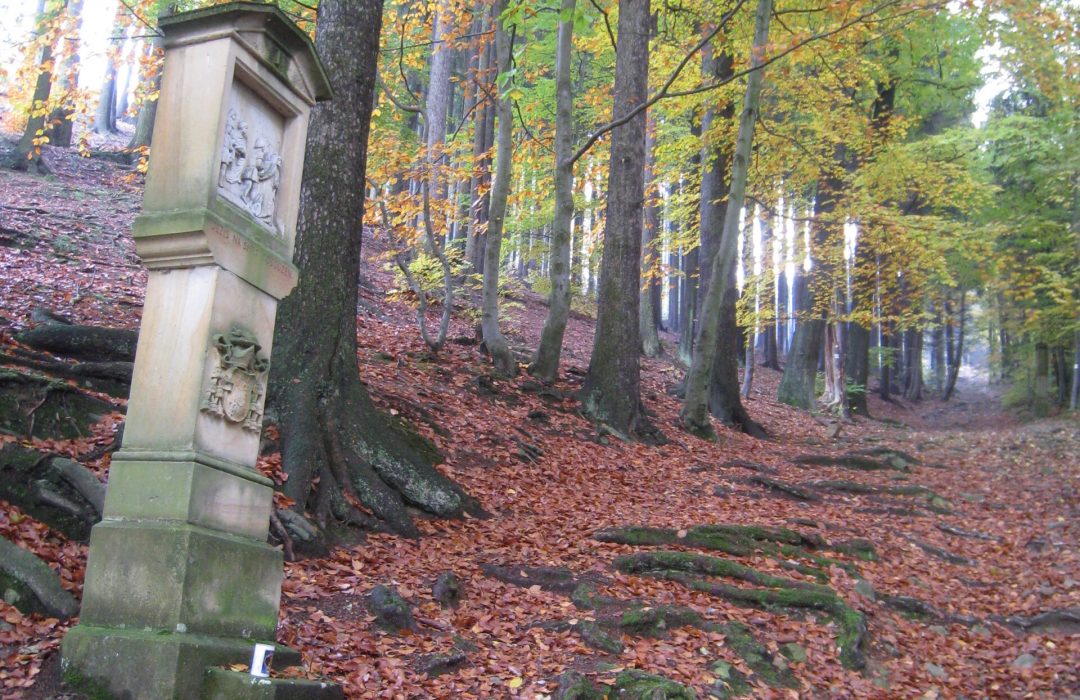 Malenisko_foto Kateřina Růžičková, IC Kunovice (3)