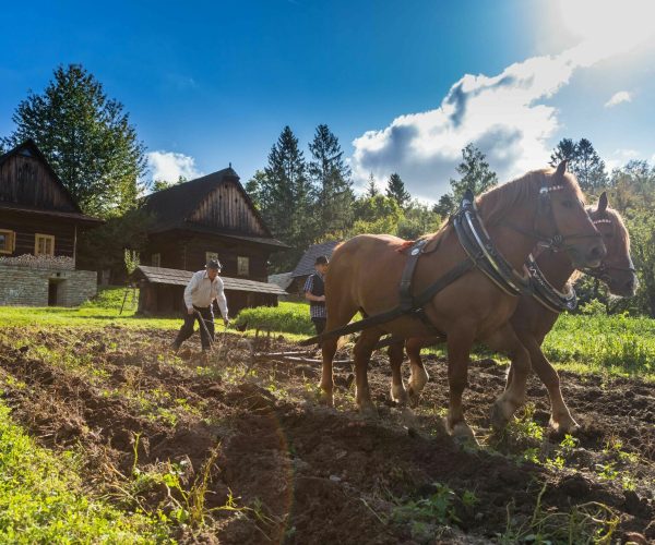 Okolo Rožnova - Valašské muzeum v přírodě