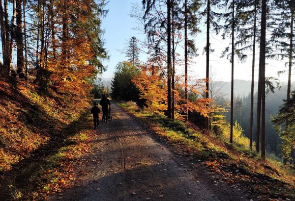 Rozhledna Miloňová_trasa od Lanterny