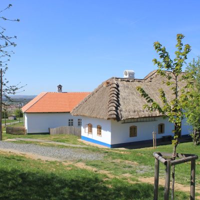 Skanzen Rochus – muzeum v přírodě v srdci Slovácka, v Uherském Hradišti nabízí poznání života našich předků, tradiční lidové architektury.