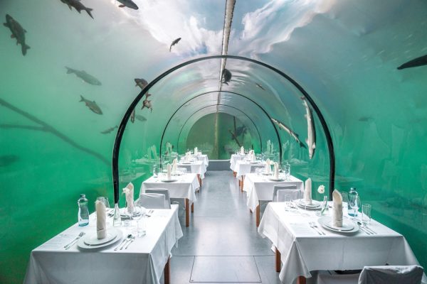 Sladkovodní menu pod vodou