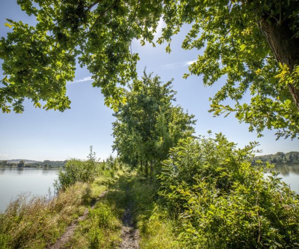Záhlinické rybníky - největší přírodní rezervace na střední Moravě