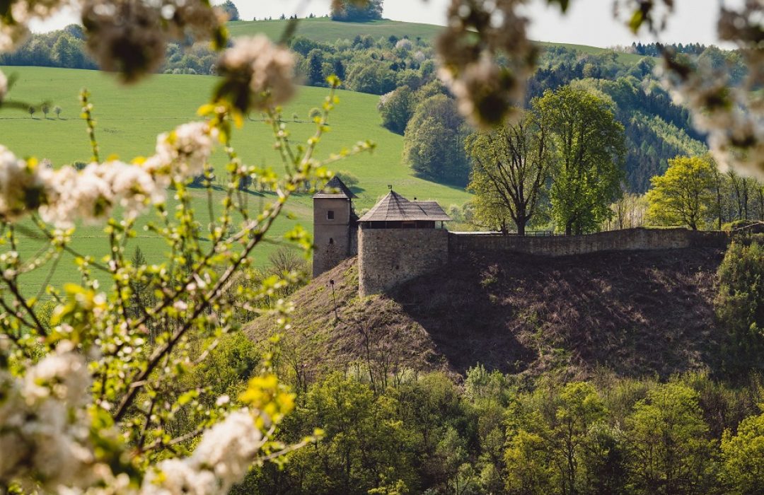 hrad Brumov